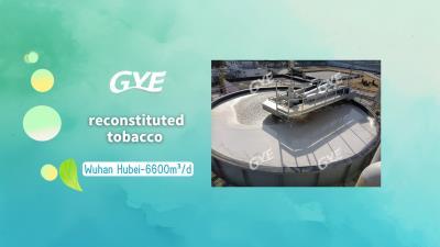 Wuhan Hubei reconstituted tobacco-6600m³/d