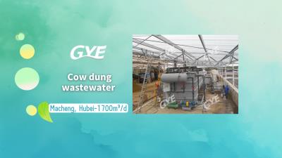 Macheng, Hubei- Cow dung wastewater-1700m³/d