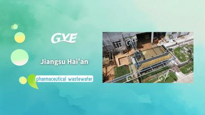 Jiangsu Haian – Pharmaceutical Wastewater – Daily Treatment Capacity 600 m³